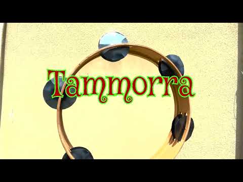 tazy1969 - YouTube