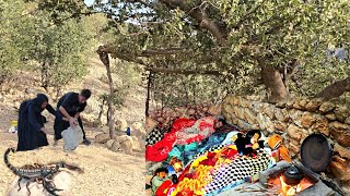 Real Life of Iranian Nomads in the Zagros | Struggle to Survive in Nature   Wild Scorpion 🦂