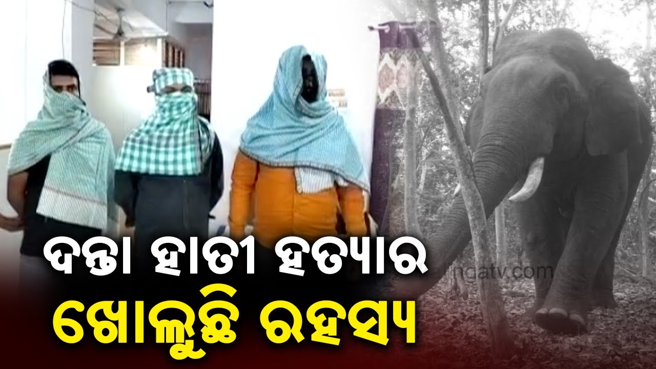 Similipal Elephant Poaching Witness Death Case: 3 Forest Dept Employees Arrested || Kalinga TV