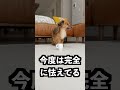 水を飲んではいけないコップの正体が読めなすぎた！
