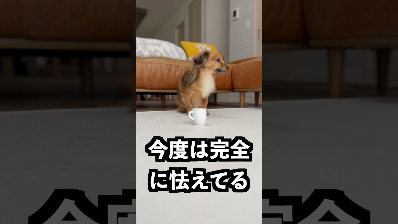 水を飲んではいけないコップの正体が読めなすぎた！