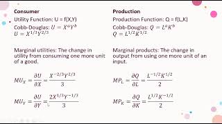 Similarities Between Consumer and Production Theory