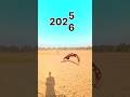 #2026 #reels #teambackflip #flip #viral #viralvideo #flipper #newsong #love #song #army #comedy10