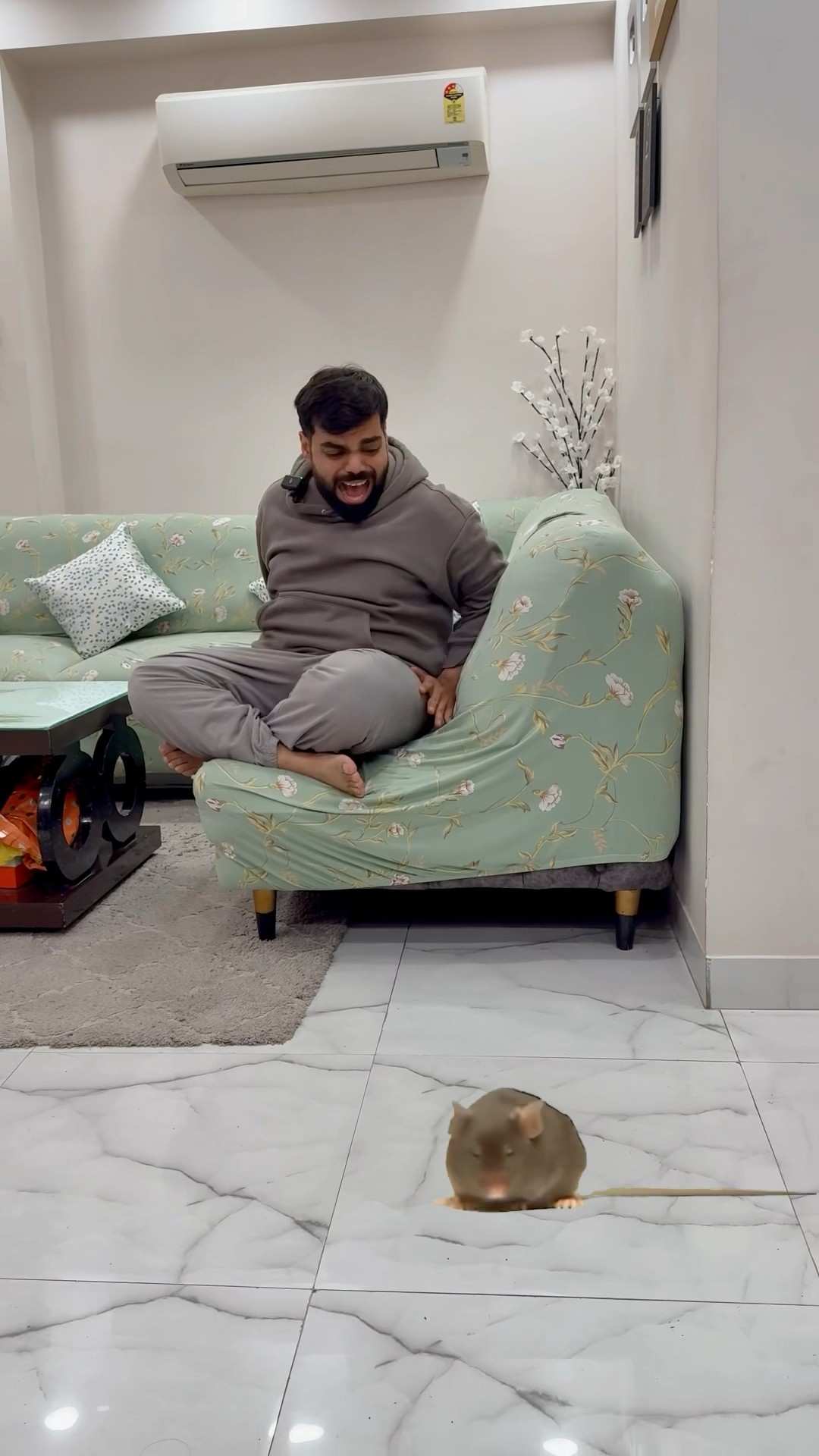 Gaurav nahi bacha paya bechare chuhe ko #shorts #youtubeshorts #gauravaroravlogs