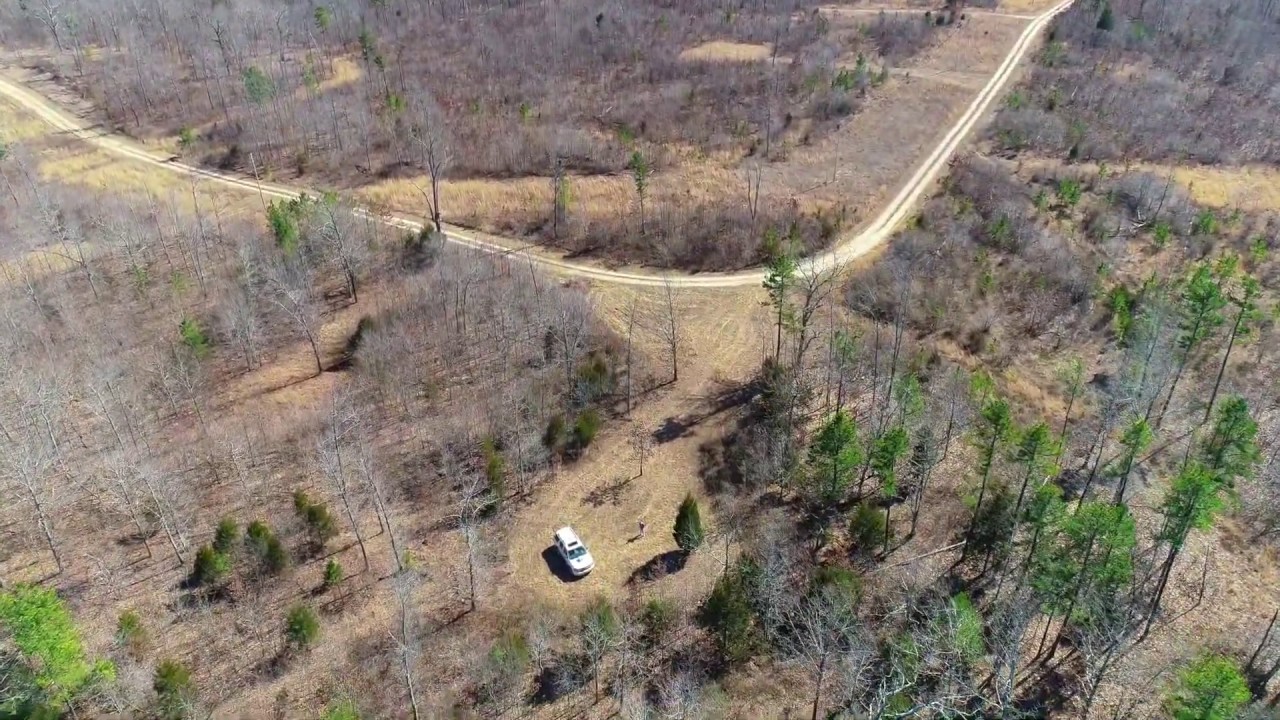 500 Down Owner Financed Land For Sale ON the National Forest IDWL01