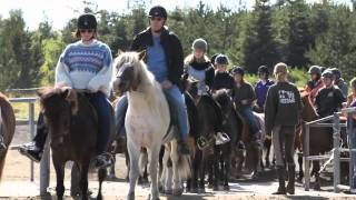 Lava Horseriding Tour