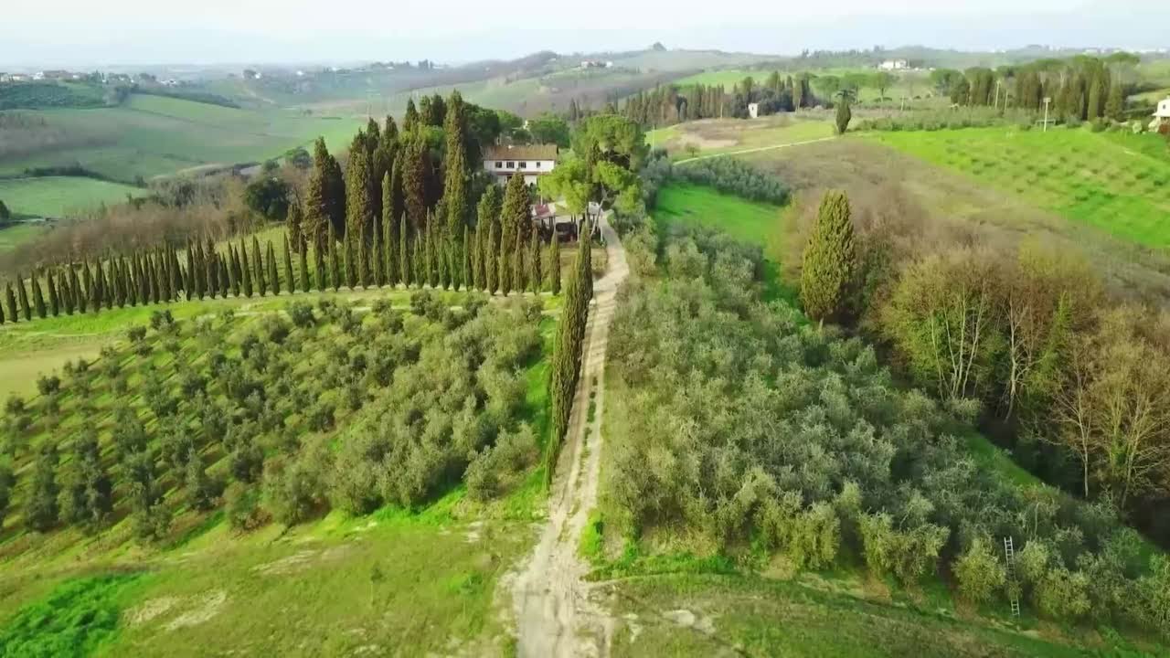 More to the Story with Staley: Great Vacation