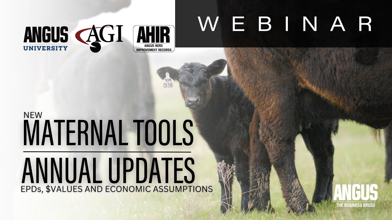 New Maternal Tools, Annual Updates | WEBINAR - May 23, 2025