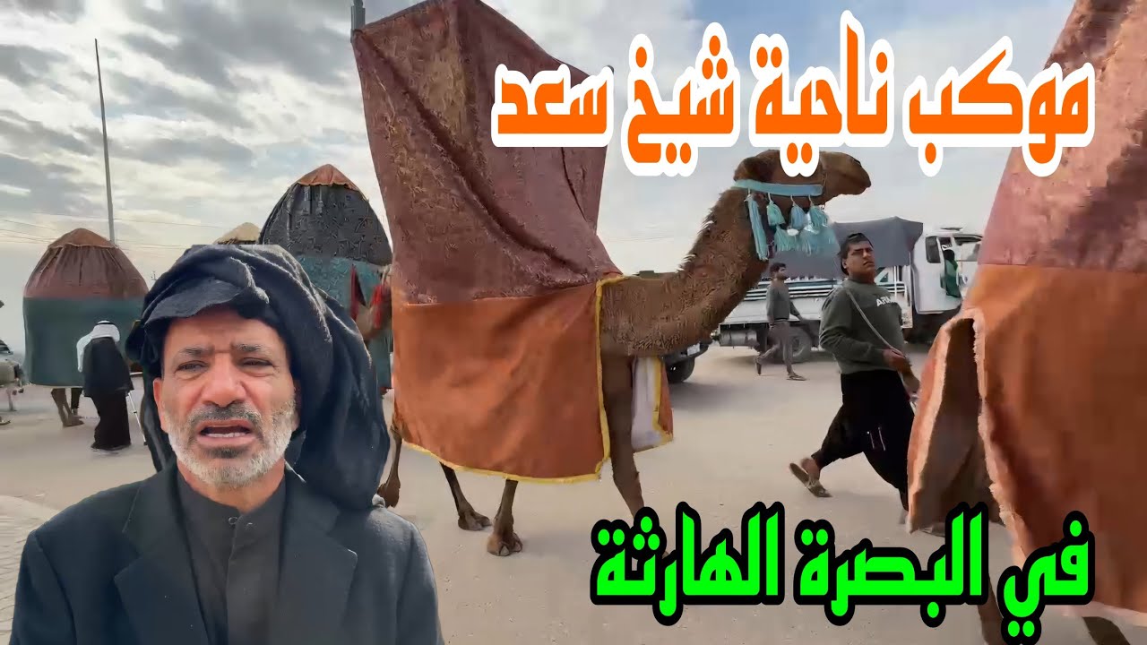 مشاية الإمام موسى الكاظم موكب ناحية شيخ سعد في البصرة الهارثة#أحمد_مهدي