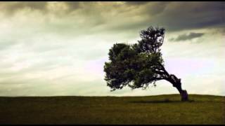 Nada - Once I Heard A Tree Talk