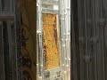 stainless steel gate | stainless steel design Gate| Best steel doors| #moderngates #manualgates