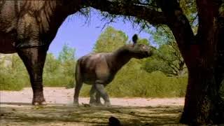 Walking With Beasts Soundtrack 35 Dry Seasonhyaenodon Attack