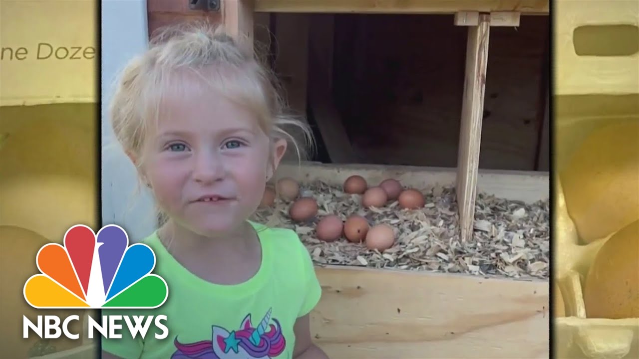 Three-year-old sells homegrown eggs amid price surge
