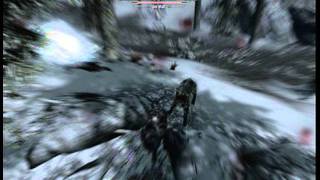 Funny Skyrim Bug