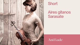 Short Aires gitanos - Sarasate