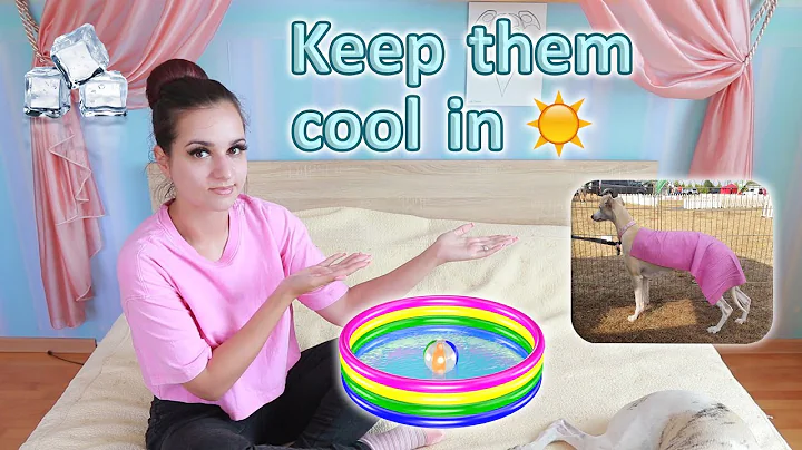 How to keep your dogs cool in summer + What brush we use for our Whippets