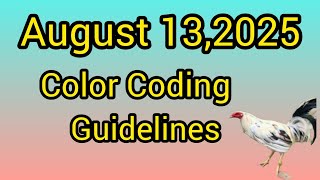 August 13,2025 Color Coding guidelines.