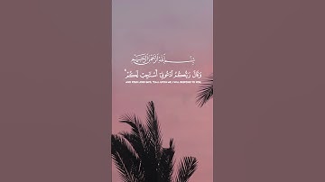 القرآن كريم سورة غافر للقارئ بلال دربالي Quran