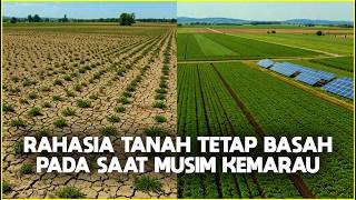 SMART FARMERS USE THIS DURING THE DRY SEASON SMART FARMERS USE THIS DURING THE DRY SEASON