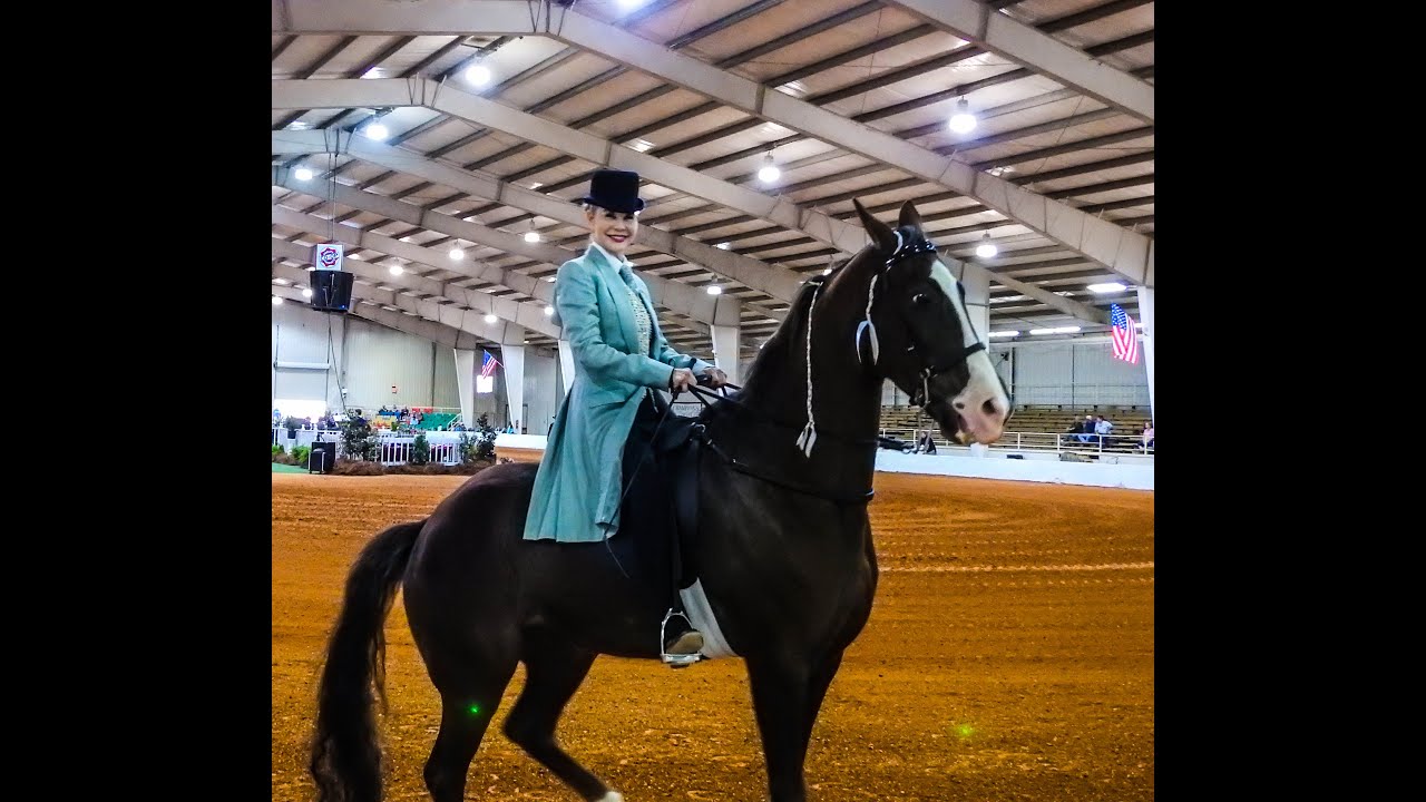 DSCN1581 RACKING HORSES