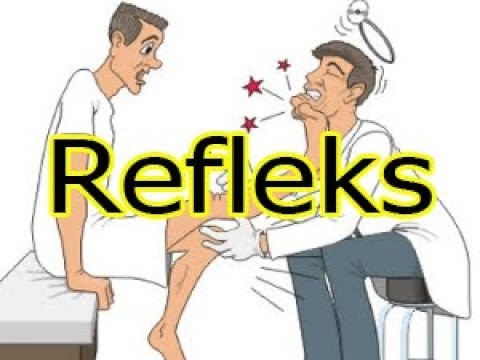 Video: Refleks Nedir