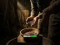 Amish Farming Secrets That Modern Farmers Forgot