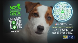 Unleash Your Love fundraiser for Bakersfield SPCA takes place Friday