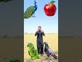 new vfx video viral #shortsfeed #shorts #vfx #viral #challenge