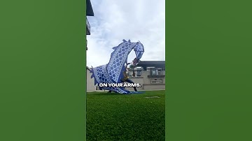 Dragon Dreaming (@dragonmothermickey)