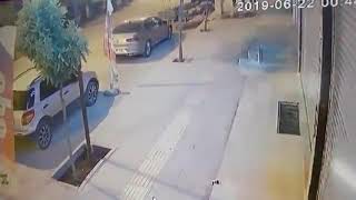 Mardinde Hanzonun Biri Yeni Dikilen Ağacı Böyle Kırdı