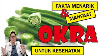 FAKTA MENARIK DAN MANFAAT OKRA UNTUK KESEHATAN