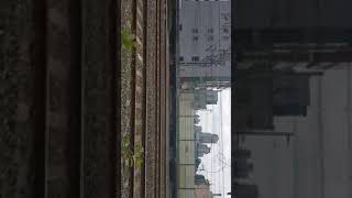 7375호 디젤기관차 부산진발 옥계행 컨테이너 화물열차