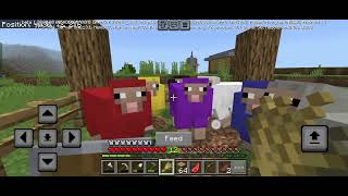 upgrade rumah and kandang kambing || Minecraft