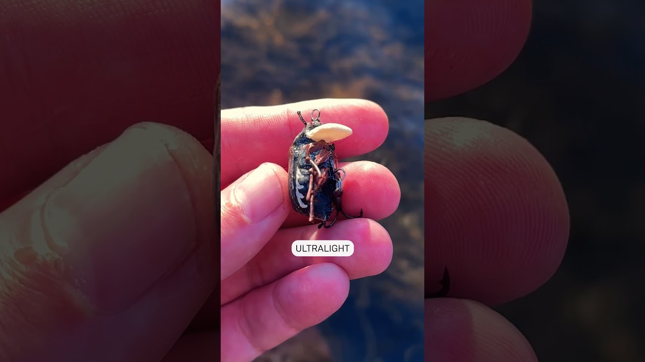 Spring Salmon Love This Handmade Floating Bug Lure!