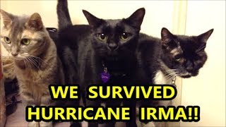 HURRICANE IRMA DAMAGE & AFTERMATH, WE SURVIVED! | Scottsquatch