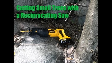 Cutting Small Trees with a Reciprocating Saw