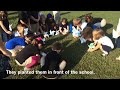 Pinwheels for Peace