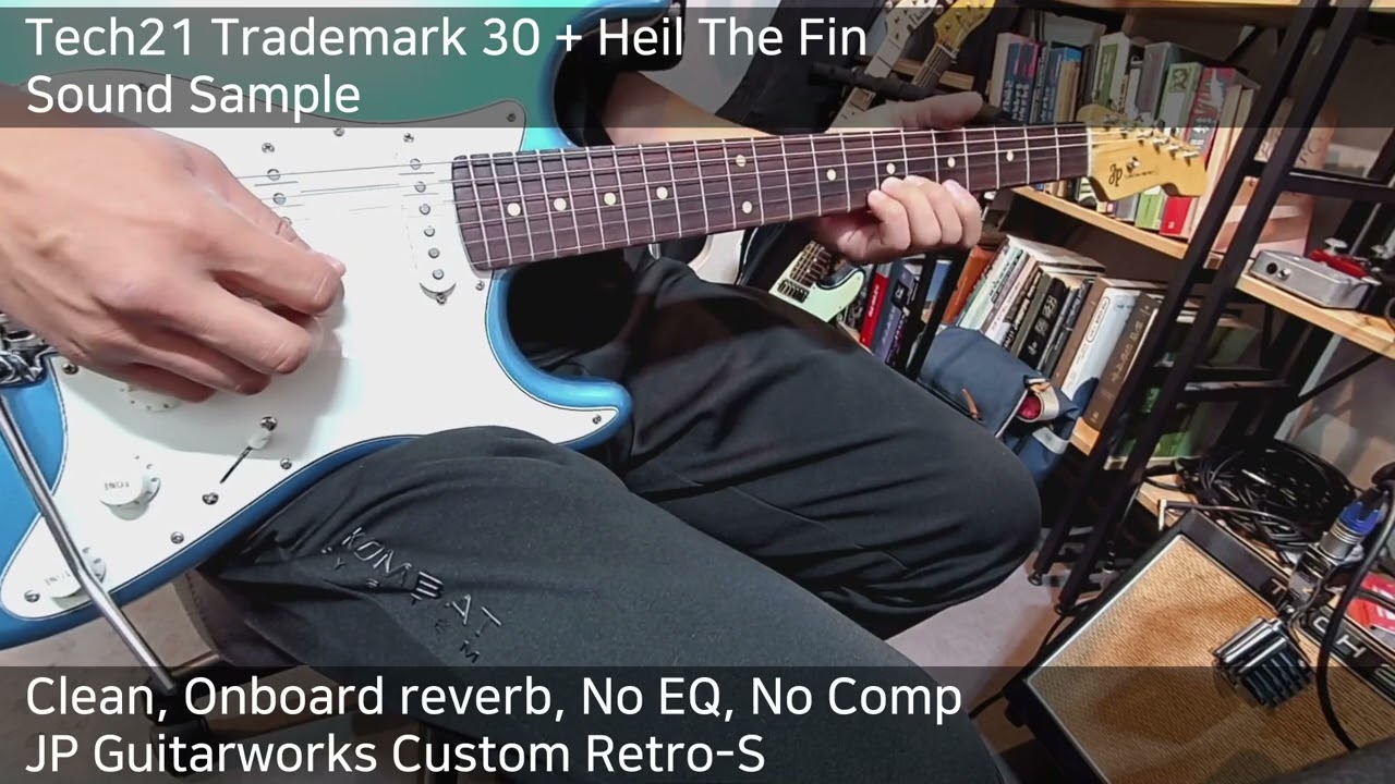 Tech21 Trademark 30 + Heil The Fin Mic Sound Sample(No Talk)