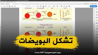 مطبوعة مراحل تشكل الامشاج الانثوية علوم طبيعية للسنة الرابعة متوسط الجيل الثاني