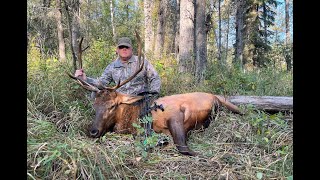 2023 Alberta Elk Hunt