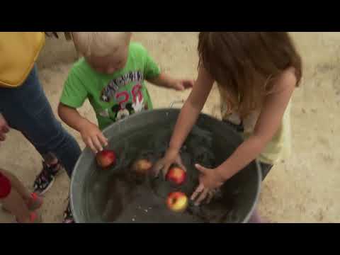Video 1: Woimbey