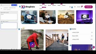 BlogData Blog WordPress Theme Main Additional Content