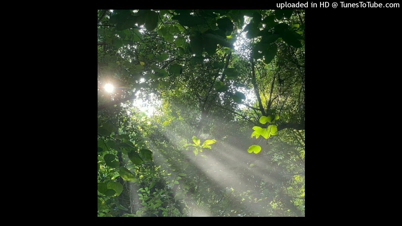 [free] sad iayze x jace! type beat 