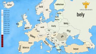 Colors Across 42 European Languages | Romance vs Slavic vs Germanic