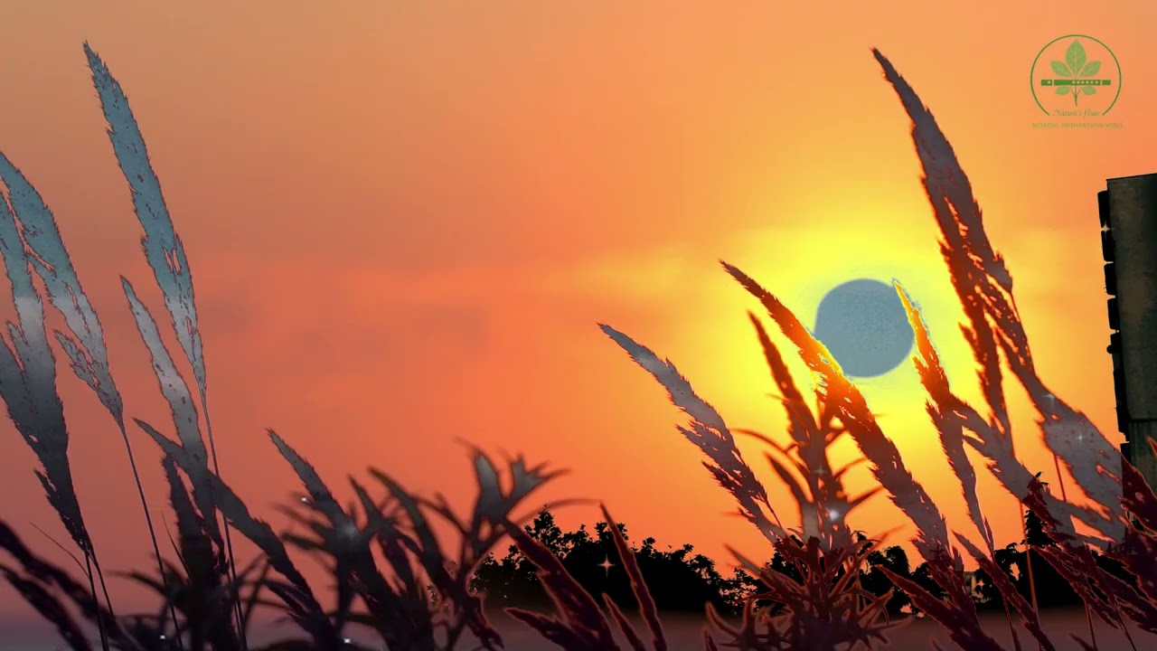 Nordic Meditation Music | Music Therapy