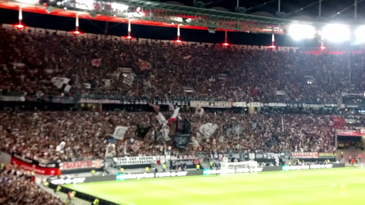 allez forza SGE | Woodles 💙🖤