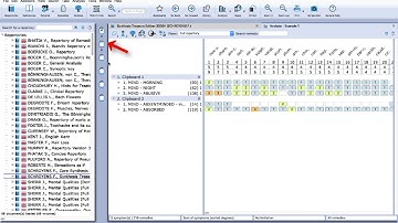 RadarOpus: Save clipboards in a quick way (outside of the patient file) & Export