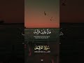 وه و ال ذي م ر ج الب حر ين جمال صوت مش طبيعى ما شاء الله الشيخ حجاج الهنداوي طبيب القلوب
