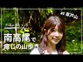 【南高尾登山】癒しの穴場スポットで草戸山を満喫!