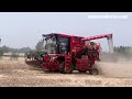 Fast and Powerful Combine Harvester in Action on the Field!